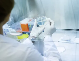 Dünyayı sarsan koronavirüs salgınıyla ilgili heyecanlandıran son dakika gelişmesi