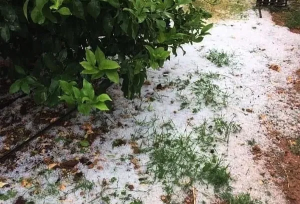 mersinde-saganak-yagis-felaket-getirdi-sel-sularina-kapilan-kadinin-cansiz-bedeni-bulundu-1669303282704.jpg Mersin'de sağanak yağış felaket getirdi: Sel sularına kapılan kadının cansız bedeni bulundu-3