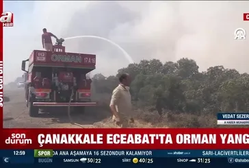 Çanakkale Eceabat'ta orman yangını