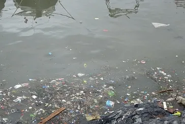 Pendik sahilinde çevre felaketi: Deniz kirli koku yoğun