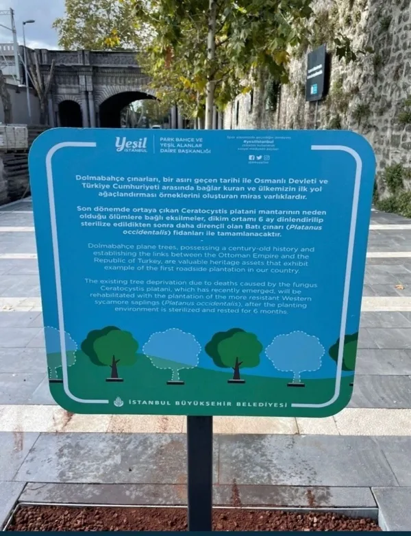 chpli-ibb-ciragan-caddesindeki-tarihi-cinarlari-katletti-avrupada-kanserli-agaclar-bakin-nasil-kesiliyor-ibbni-1647772261117.jpg CHP'li İBB Çırağan Caddesi'ndeki tarihi çınarları katletti! Avrupa'da kanserli ağaçlar bakın nasıl kesiliyor? İBB'nin yalanı böyle çürüdü-2