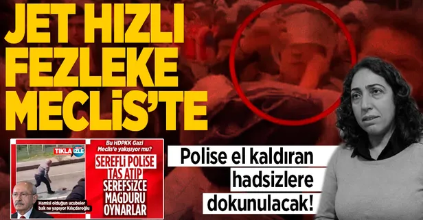 Son dakika: Polise yumruk atan DBP'li Salihe Aydeniz'in fezlekesi TBMM'de!