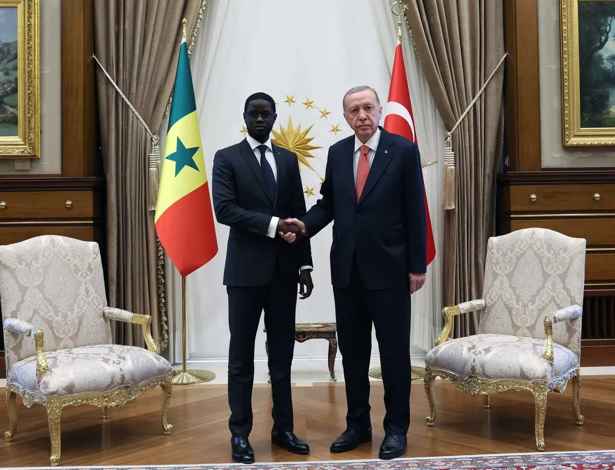 Başkan Erdoğan Senegal Cumhurbaşkanı Bassirou Diomaye Faye ile görüştü: Türkiye'nin "kazan-kazan" anlayışıyla adımlar atmayı sürdürecek-4