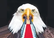 Avrupayı arkasına alıp tehdide yeltenen Macrona Ankaradan rest: Çakma Napolyon! Bize boyun da gücün de yetmez!