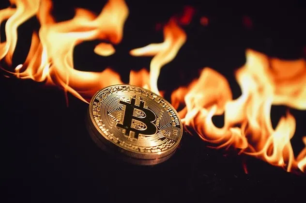 Kripto para piyasasında gevşeme! En büyük 100'ün... | 12 Ağustos 2020 Bitcoin fiyatları