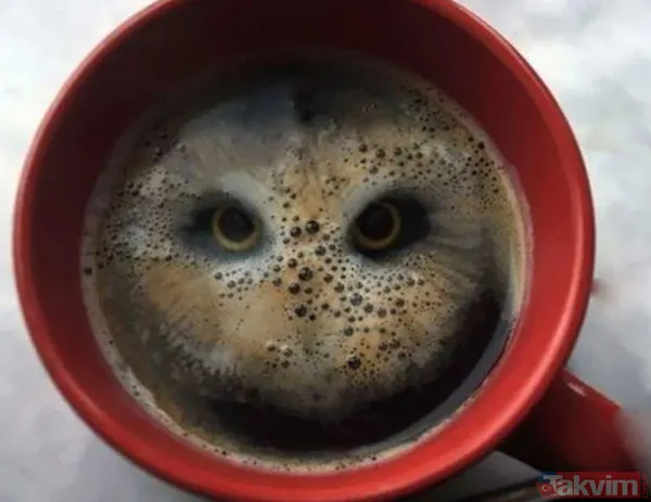 Bu karede ilk gördüğünüz kendinize bile inkar ettiklerinizi açığa çıkarıyor! Sosyal medyayı karıştıra test içinizdeki gerçeği ifşa ediyor - 11