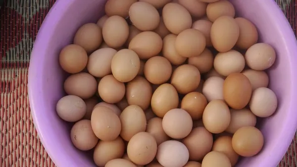 Yumurta satışında damga uygulaması başlıyor-5