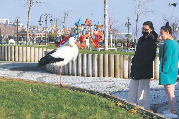 kahve-iceyim-derken-dustu-karne-gunune-hazirlanan-bekir-gucuyeter-basi-donunce-13-kattan-asagi-dustu-1642801905467.jpeg Kahve içeyim derken düştü! Karne gününe hazırlanan Bekir Gücüyeter başı dönünce 13. kattan aşağı düştü-6