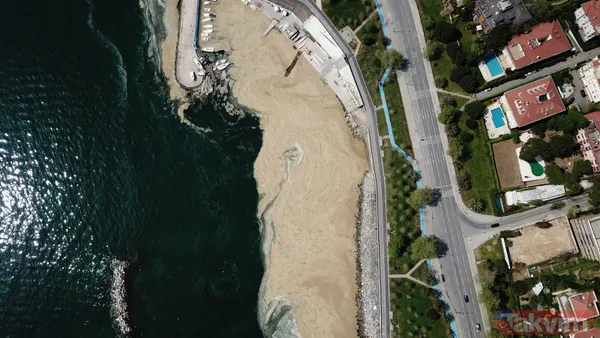 İstanbul Fenerbahçe Sahili deniz salyası kaplandı - 1