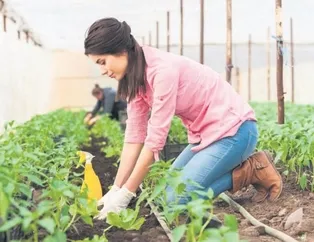 Orman köylüsüne hibe ve faizsiz kredi