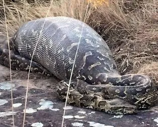 İçini açtılar! Gördükleri karşısında dilleri tutuldu