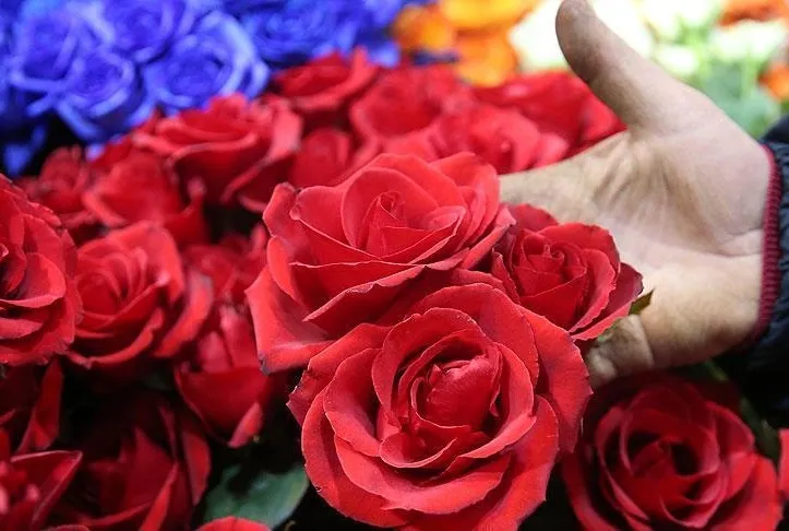 Alışveriş aşka geldi