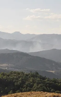 PKK'nın sızma planı son anda önlendi!