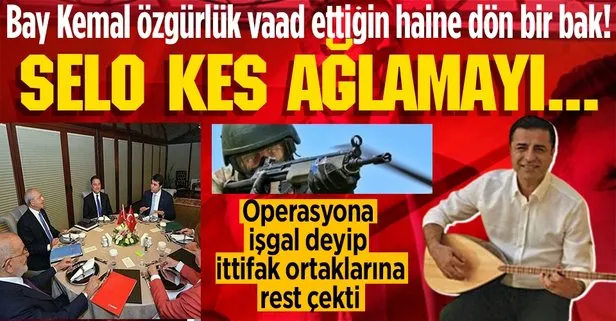 HDP’li Demirtaş’ta operasyon korkusu başladı! TSK’ya işgalci deyip ittifak ortaklarını gözdağı verdi