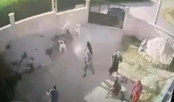 Leman Dergisi'nin Konya'daki cinayetlerle ilgili skandal kapağına soruşturma: İdeolojik propaganda ve provokasyon-5