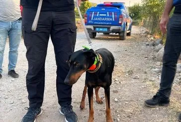 Tina umutları yeşertti!