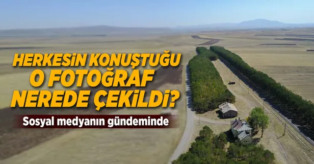 Kars'ta çekildi! Bu fotoğraf herkesin dilinde