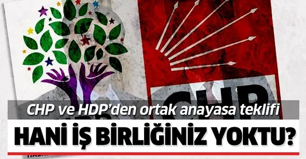 CHP ve HDP’den ortak anayasa teklifi!