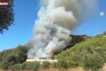 Antalya'da Ormanlık alanda yangın çıktı