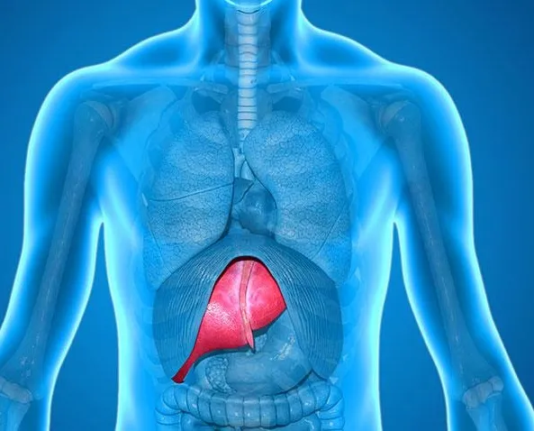 Bir fincan kahvenin karaciğerde hatırı var