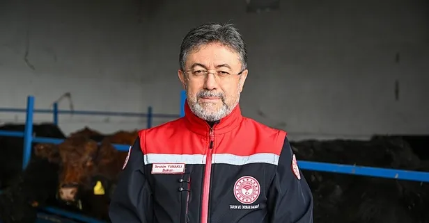 Kırmızı et üretimini artıracak Kırsalda Bereket, Hayvancılığa Destek Projesi meyvelerini vermeye başladı