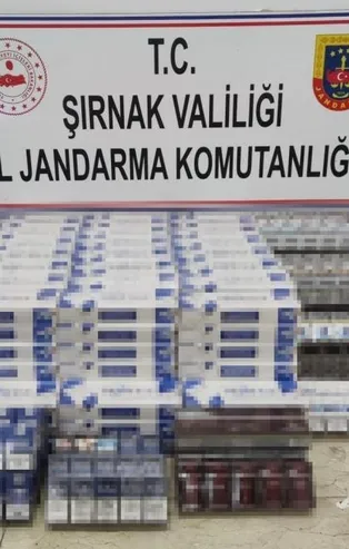 Son dakika: Şırnak’ta terör operasyonu! Çok sayıda uzun namlulu silah ele geçirildi: 87 gözaltı