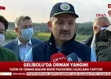 Tarım ve Orman Bakanı Bekir Pakdemirli'den Gelibolu'daki yangına ilişkin açıklama