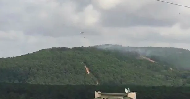 Son dakika: Kartal Aydos Ormanı’nda yangın!