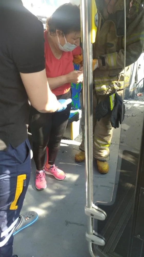 1687428028147.jpg Pendik'te İETT otobüsü ağaca çarptı! Ön camı tuzla buz olan otobüste 4 yolcu yaralandı-7