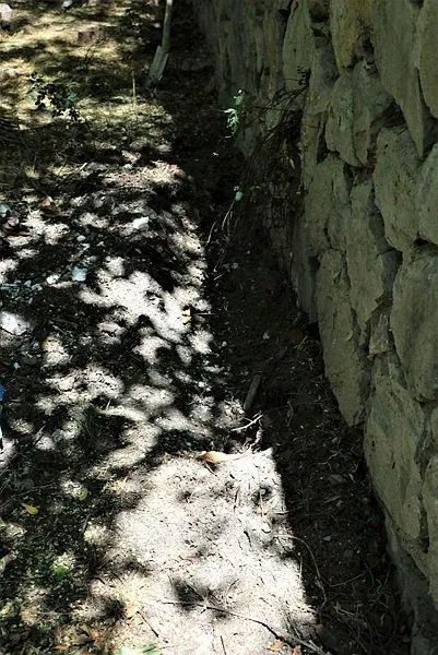vahset-bahcesinde-10-olu-kopek-bulunan-kadin-gozaltina-alindi-1628273212876.jpeg Vahşet! Bahçesinde 10 ölü köpek bulunan kadın gözaltına alındı!-3