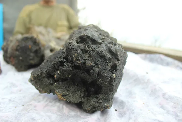 gokyuzunde-isik-gordu-olumden-dondu-basina-binlerce-dolar-degerinde-talih-kusu-kondu-1610791135133.jpg Gökyüzünde ışık gördü, ölümden döndü! Başına binlerce dolar değerinde talih kuşu kondu!-11