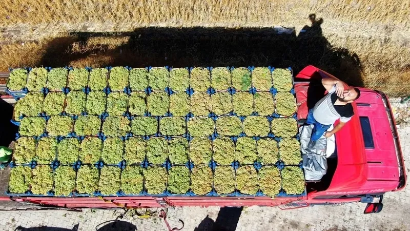 muhendisligi-birakti-simdi-maasinin-4-5-katini-kazaniyor-1735580218648.jpeg Mühendisliği bıraktı şimdi maaşının 4-5 katını kazanıyor-2