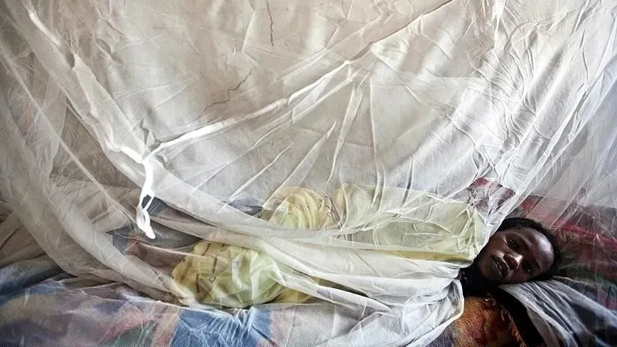 nijeryada-lassa-atesi-panigi-olduren-virus-yayiliyor-can-kaybi-yukseldi-1786471796080.jpeg Nijerya'da Lassa ateşi paniği! Öldüren virüs yayılıyor: Can kaybı yükseldi-2