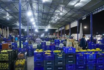Çiftçi kazanamıyor tüketici alamıyor! Eski Hazine ve Maliye Bakanı Berat Albayrak'ın açıkladığı Hal Yasası neden hala çıkmıyor?