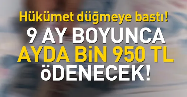 Gençlere ayda bin 950 TL