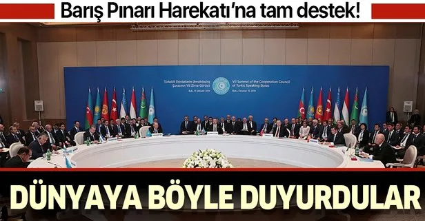 Türk Konseyi'nden Barış Pınarı Harekatı'na tam destek!