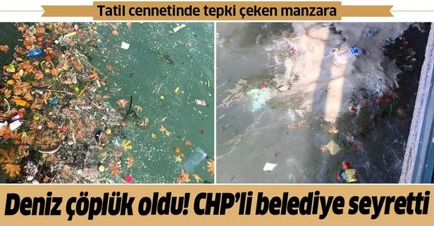 Tatil cennetinde deniz çöplüğe döndü! CHP’li belediye seyretti