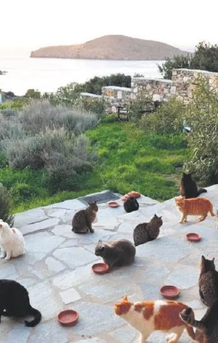 Mikonos manzaralı iş!
