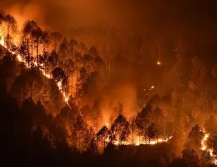 Muğla’daki orman yangınının kundakçısı tutuklandı