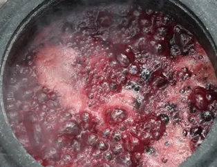 Öksürüğe karşı reçel