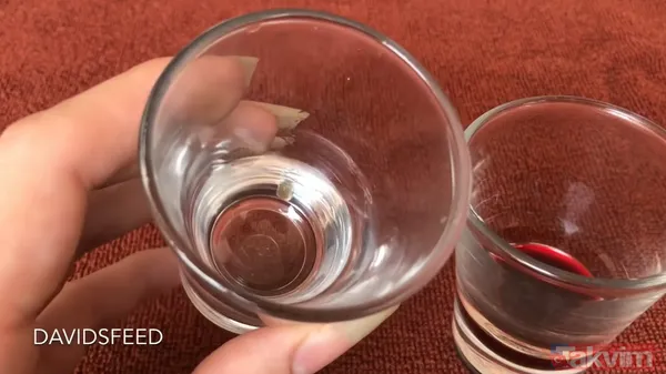 Sadece tek bir damlası kanı hale getirmeye yetti! 55 milyonluk yılan deneyi tehlikenin kanıtı - 4