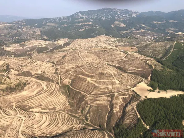 Adana Kozan'da geçtiğimiz yıl yanan 280 futbol sahası büyüklüğündeki alan 5 ay sonra yemyeşil - 14