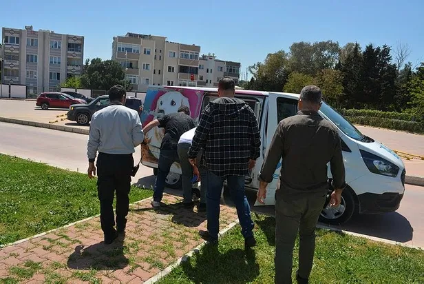 İzmir'de tasmasız pitbull dehşet saçtı! Isırdığı köpeği zor kurtardılar: Vatandaşlar panikte-1