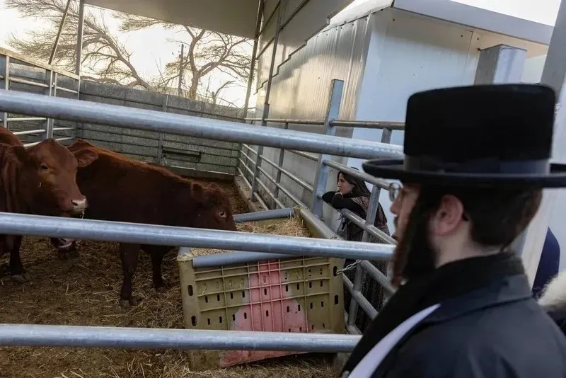 Takvim Siyonistlerin kehanetlerini gündeme getirmişti (Takvim.com.tr)