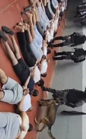 İsrail’den Filistinlilere sadist işkence: Köpekleri üzerlerine salıp…-1