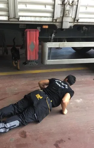 İçişleri Bakanlığı'ndan 81 ilde operasyon!