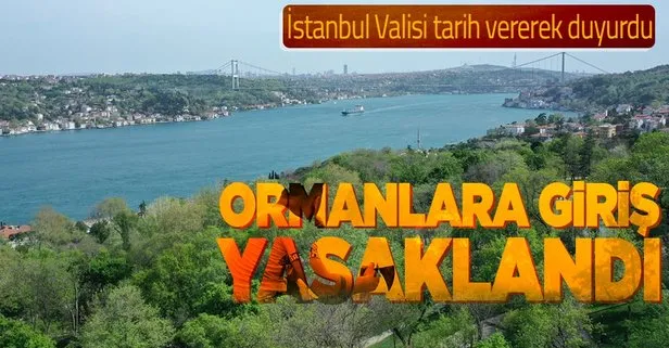 Son dakika: İstanbul'da ormanlara giriş yasağı! Vali Yerlikaya duyurdu: Ormanlara giriş yasağı 31 Temmuz'a kadar sürecek! İşte mangal yapmanın yasak olduğu yerler...