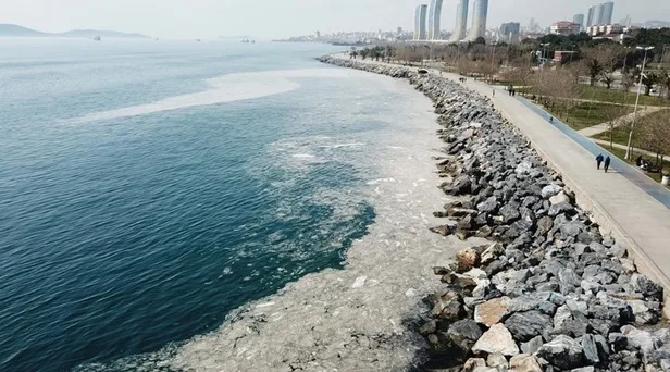Deniz salyası çözümü nedir? Marmara'da deniz salyası neden oluşur? Müsilaj nedir, nasıl temizlenir?-2