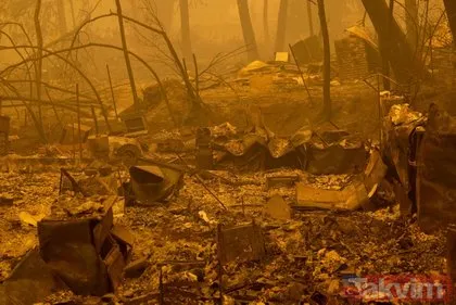ABD’de yılın en büyük yangını! 207 kilometrekareden fazla alana yayılan yangın için olağanüstü hal ilan edildi