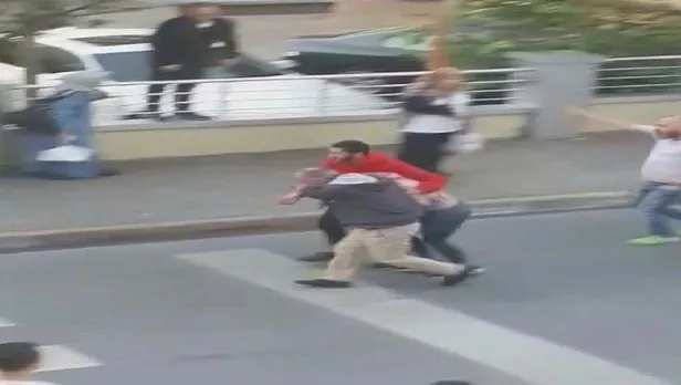 İstanbul Maltepe'de 'narkozlu' köpek dehşeti-2